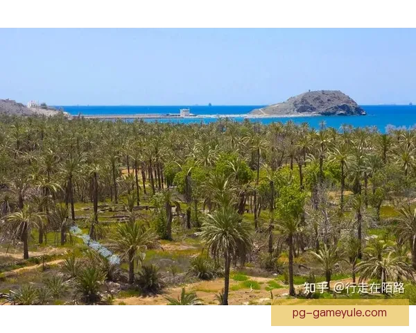 官方切乌库阿加盟阿联酋富查伊拉 官方切乌库阿加盟阿联酋富查伊拉